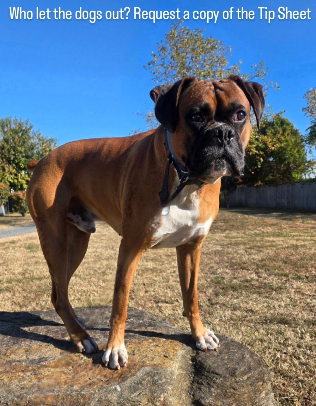 键比赛中 键比赛中